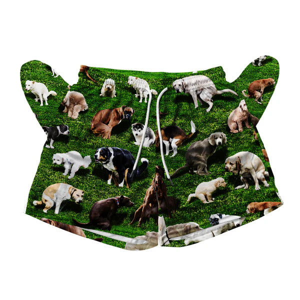 Pooping Dog Mesh Short