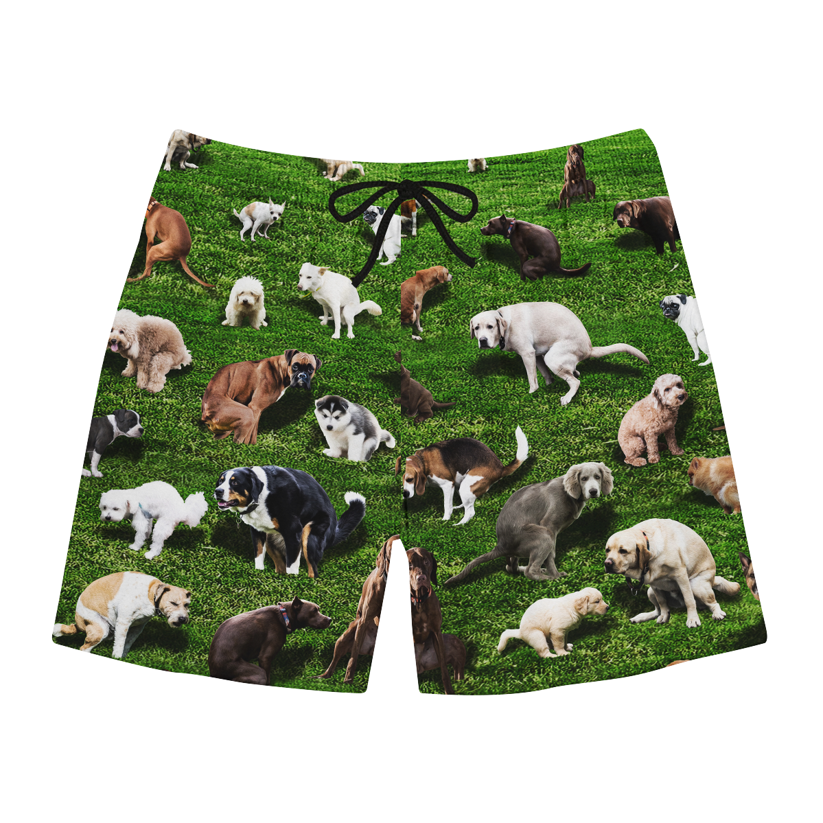 Pooping Dog Swim Trunks